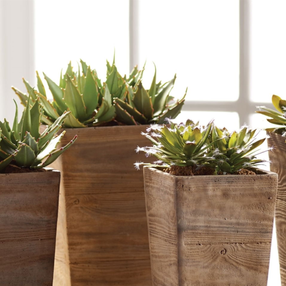 succulent drop SUCCULENT DROP-INS, Set of 6