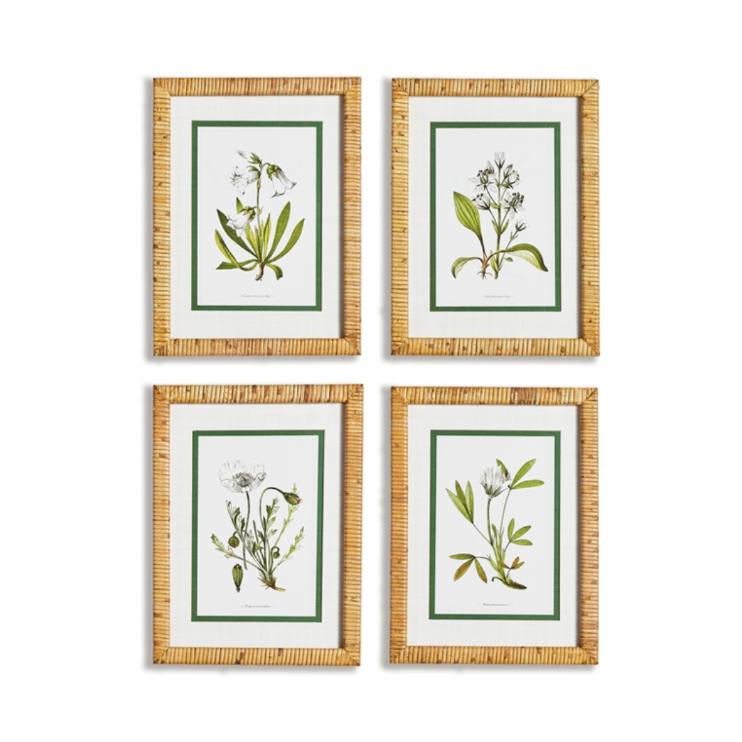 WHITE FLORAL STUDY, Set of 4