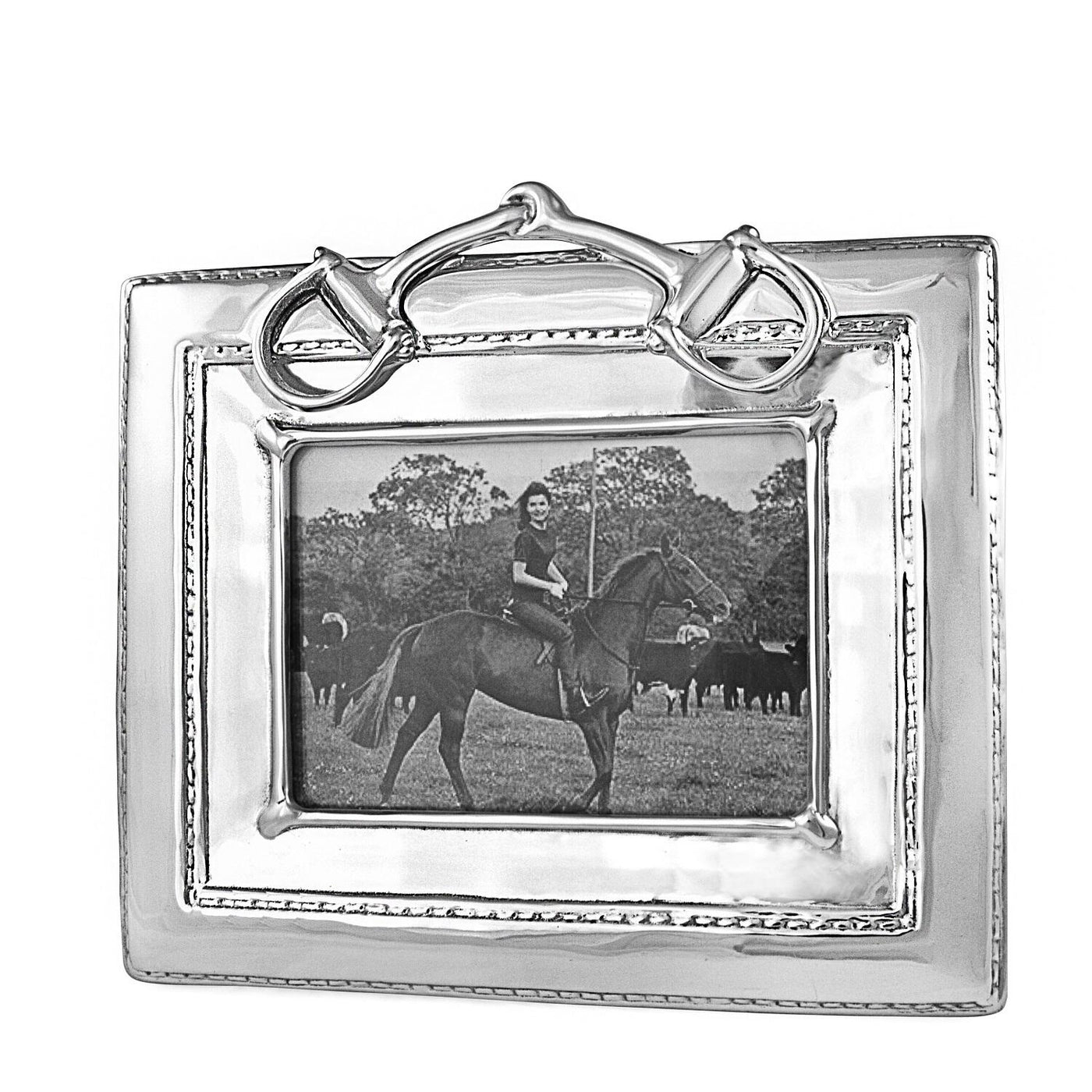 Equestrian Snaffle Bit 5x7 Frame
