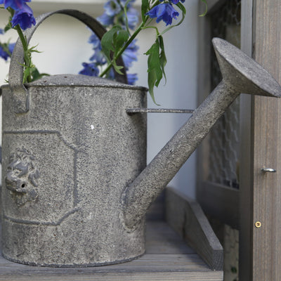 Aged Metal Lion Watering Can, 5.3 L