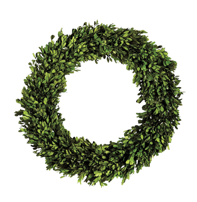 22" Preserved Boxwood Boxwood Wreath